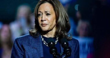 Kamala Harris failed to convincingly outperform Joe Biden in a single US county, preliminary analysis shows