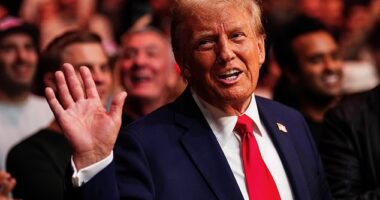 President-elect Donald Trump in New York on November 16. Some of his controversial Cabinet picks could face stiff opposition in the Senate but the last Cabinet nominee blocked by senators was more than 30 years ago. Instead, controversial nominees are typically withdrawn before a vote