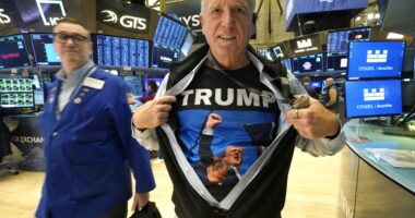 The post-election rally should continue — except this one part, says Morgan Stanley’s Mike Wilson