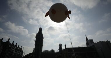 This Is What Fascism Looks Like in the Real World – HotAir