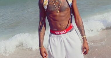 Jiare Schneider, 31, who vanished on November 15, has been found dead in a car wreckage