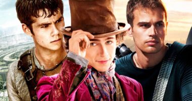 Timothée Chalamet Recalls Getting Rejected By Maze Runner, Divergent & More For The Same Reason