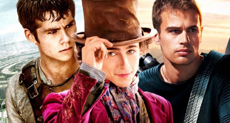 Timothée Chalamet Recalls Getting Rejected By Maze Runner, Divergent & More For The Same Reason