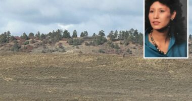 Tip in 2001 disappearance of New Mexico woman emerges after new search of Colorado property