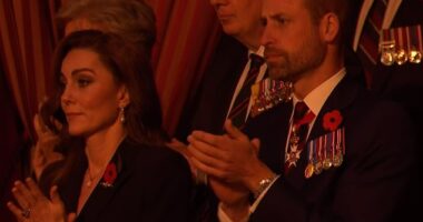 The Prince and Princess of Wales led the applause as the crowd touchingly honoured the families of fallen soldiers at the Festival of Remembrance tonight