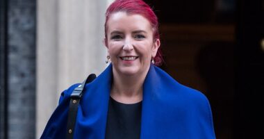 Transport Secretary has admitted she mislead police that her phone had been stolen in 2014