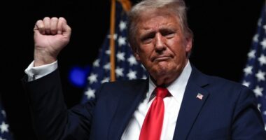 Trump Does Not Hold Back in New Remarks on Liz Cheney's Smear Against Him – RedState