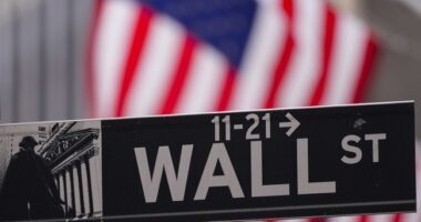 Trump Gets Reelected, and the Stock Market Soars – RedState