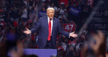 Trump Saw Gains Across All Voter Demographics, Kamala Saw None.