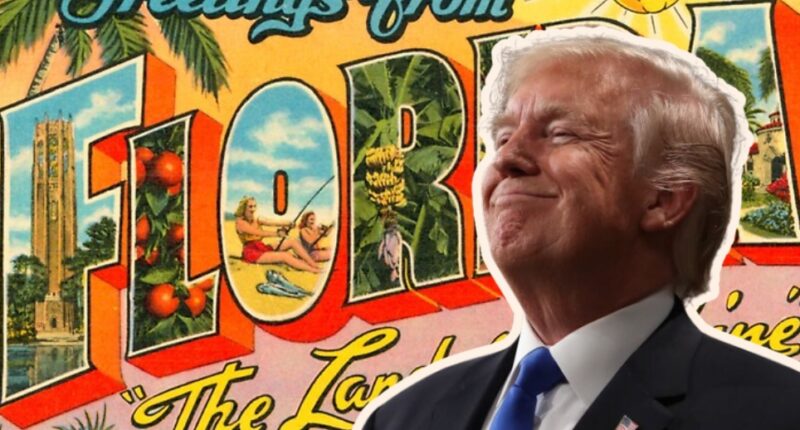 Trump Florida Poll
