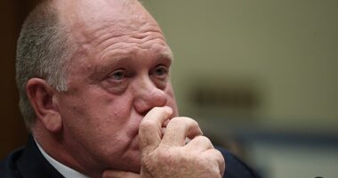 Former Acting ICE Director Tom Homan defended Donald Trump's plan to carry out mass deportations after being named the new 'border czar'