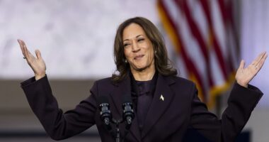 Trump election results live: Kamala Harris' massive 2024 campaign debt revealed after concession speech
