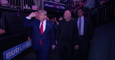 Donald Trump and Elon Musk enter UFC arena with Dana White to rapturous applause