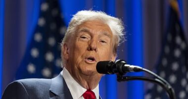 President-elect Donald Trump joked about serving a third term as he addressed the House GOP Conference on Capitol Hill Wednesday ahead of his White House meeting with President Joe Biden