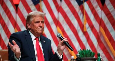 'She’s a radical war hawk,' Trump began before speculating about a possible firing squad