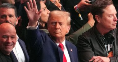 Trump spills details about controversial Morning Joe meeting; second Fox host tapped for cabinet: Live updates