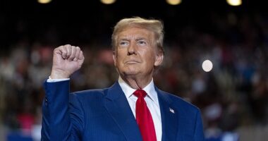 Donald Trump won all seven swing states in a shocking and decisive 2024 election victory
