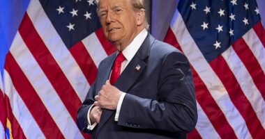 Several of President-elect Donald Trump 's Cabinet nominees were targeted by 'violent' threats to their homes, incoming press secretary Karoline Leavitt said Wednesday