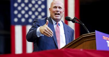 Trump's NATO pick Matt Whitaker's surprising take on Russia seizing Crimea resurfaces as Putin threatens WWIII