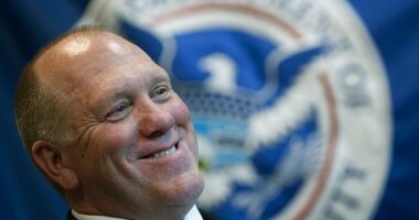 Former U.S. Immigration and Customs Enforcement acting director Thomas Homan has been selected by President-elect Donald Trump to serve as his border czar.