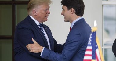Donald Trump's proposed tariffs on goods from Canada (Prime Minister Justin Trudeau pictured), Mexico and China sparked threats of retaliation from around the world on Tuesday