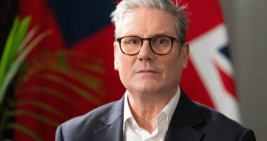 UK must boost ties with EU following Trump’s re-election, Starmer told