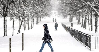 UK weather: Met Office issues UK snow and ice warnings for up to 20cm of snowfall