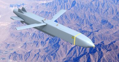 Ukraine-Russia latest: UK Storm Shadow missiles used inside Russia for first time