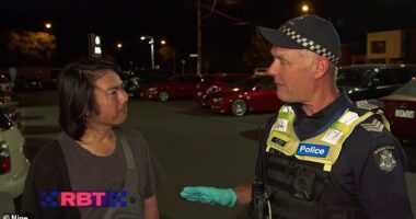A police stop video (pictured) has shown the dangers of driving while high on drugs, particularly if your car is unregistered and especially if you have a very strange excuse