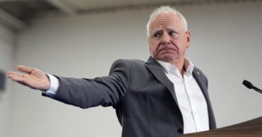 Walz Calls Elon Musk 'That Gay Guy' – HotAir