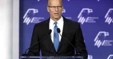 Want Better Republicans? Stop Sitting Out Primaries