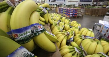 Want a Million Bucks? All You Need Is a Banana, Duct Tape, and a Wall – RedState