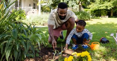 Officials warned against the infection melioidosis, which spreads from bacteria lurking in gardens and has killed five Australians in the past 12 months (stock image)