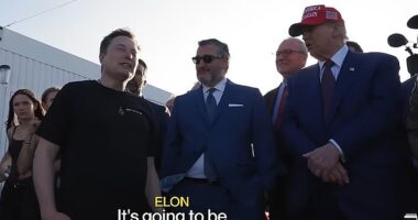 Elon Musk appeared exacerbated when Donald Trump asked if a rocket booster could be reused after it fell into the Gulf of Mexico as a ball of fire during a SpaceX launch Tuesday, November 19