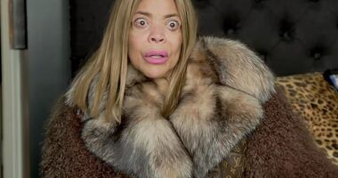 Wendy Williams has been left 'permanently incapacitated' by her dementia battle, her guardian has claimed in the latest legal wrangle over the star's tell-all documentary