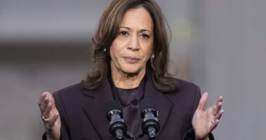 What Environment? Kamala Campaign Blew Through Staggering Amounts of Cash on Private Jets – RedState