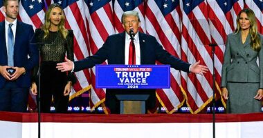 Trump victory:  US stock market makes up more than 60% of the global market