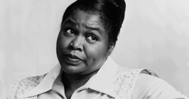 What happened to Theresa Merritt? Her Age, Spouse, Children, Bio