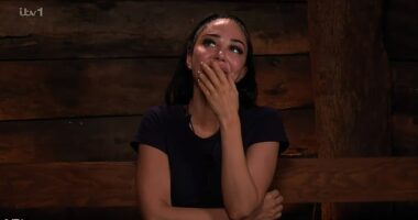 Tulisa was praised by I'm A Celebrity viewers for revealing she is demisexual in a 'refreshing' insight into her love life on Tuesday night