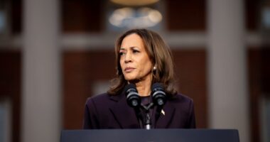 Where are the 20 million ‘missing’ votes? Dems cling to false hopes over huge gap between Biden and Harris
