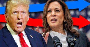 Where did Trump and Harris win? Election 2024 results mapped state by state