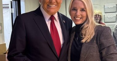 Pam Bondi has been a close advisor to Donald Trump for years, representing him during his first impeachment. As the nation's top law enforcement officer she would oversee federal Trump criminal probes, although they appeared to be falling apart since his election