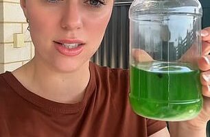 Keeley Starling has raved about a 'genius' $11.59 fly trap from Bunnings that's 'perfect' for eliminating flies over summer