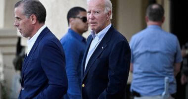 President Joe Biden has said repeatedly he will not pardon son Hunter Biden but many think he may end up doing so before his presidency ends
