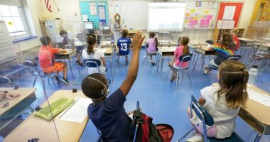 Will TN's Education Freedom Act Save Students or Destroy Public Schools? I Hope It Does Both. – RedState