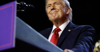 Will Trump have to sell his ‘DJT’ stock before the inauguration?