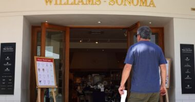 Williams-Sonoma’s stock rockets as market-share gains fuel earnings beat