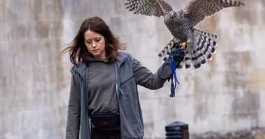 Claire Foy pictured in the centre of Cambridge with a bird of prey on her arm for her latest acting role