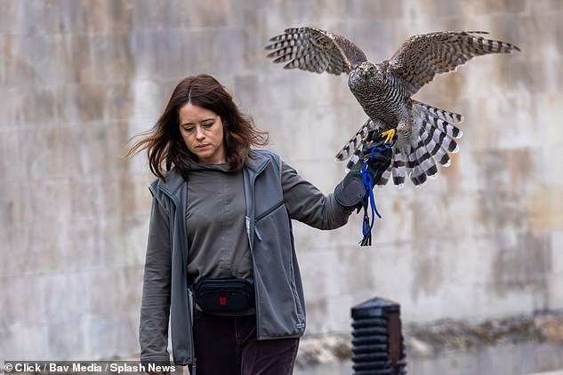 Claire Foy pictured in the centre of Cambridge with a bird of prey on her arm for her latest acting role