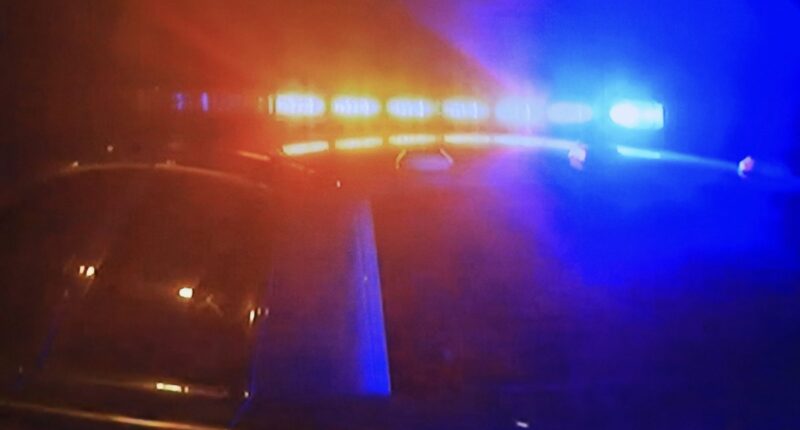 Say WHAT?! Florida Woman, Esther Thelus, Charged After Allegedly Setting Herself, Her 2-Year-Old Son & Infant Son On Fire